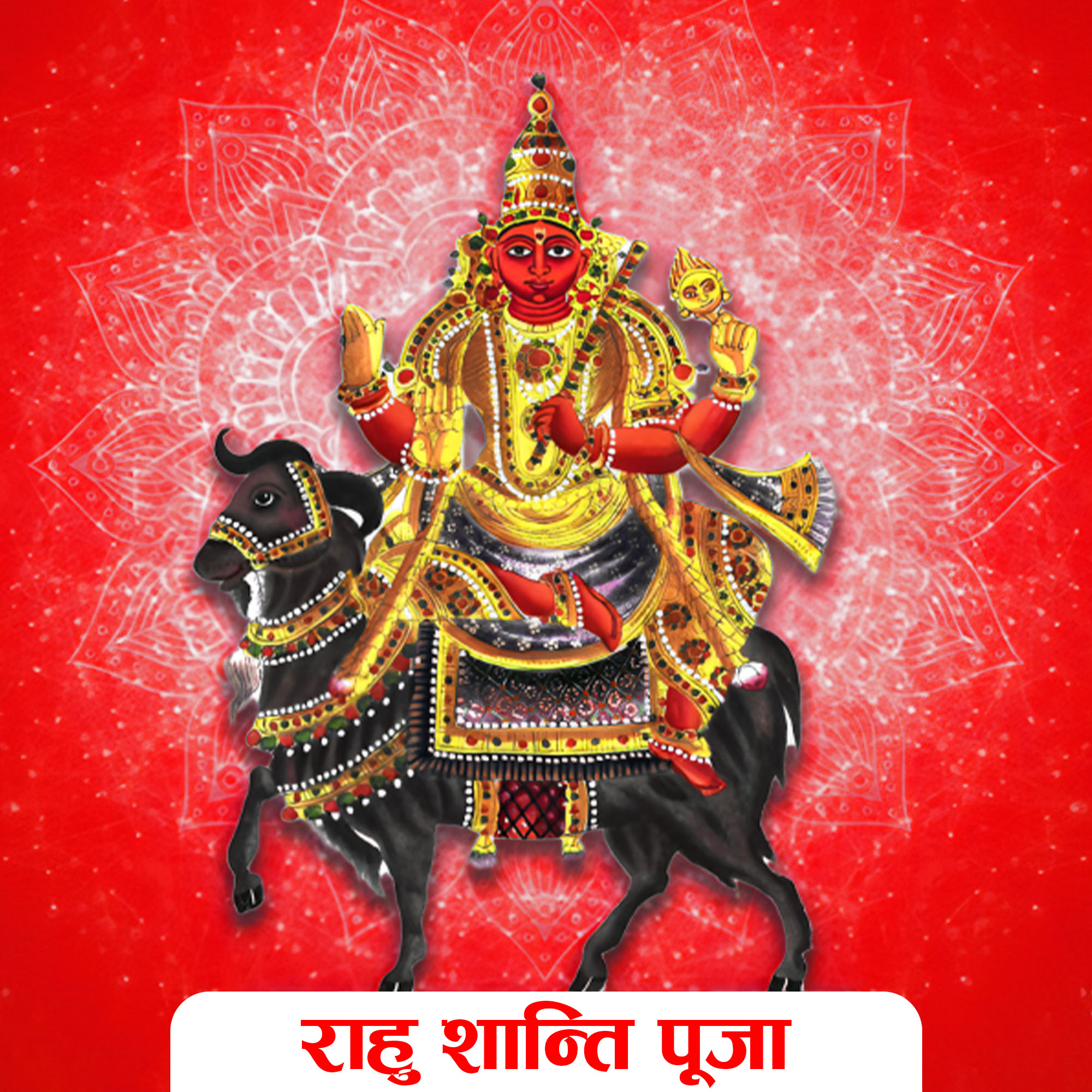 Rahu Shanti Puja